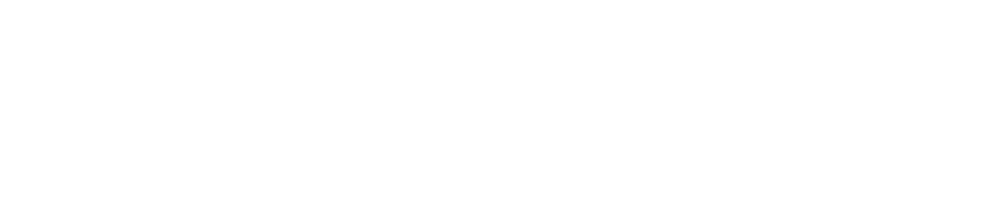 Stoakley Stewart Consulting - Logo Design - Discotoast Studios